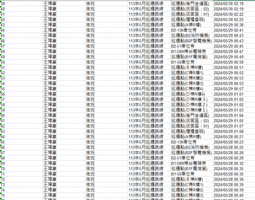 113.0501-31 夜間巡邏紀錄